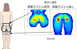 体圧骨盤vs平板+人体HP