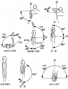 図2.6 関節可動域