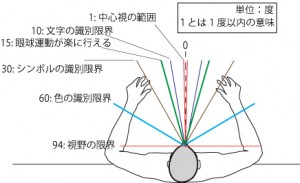 図5.6水平視野(欧米人)