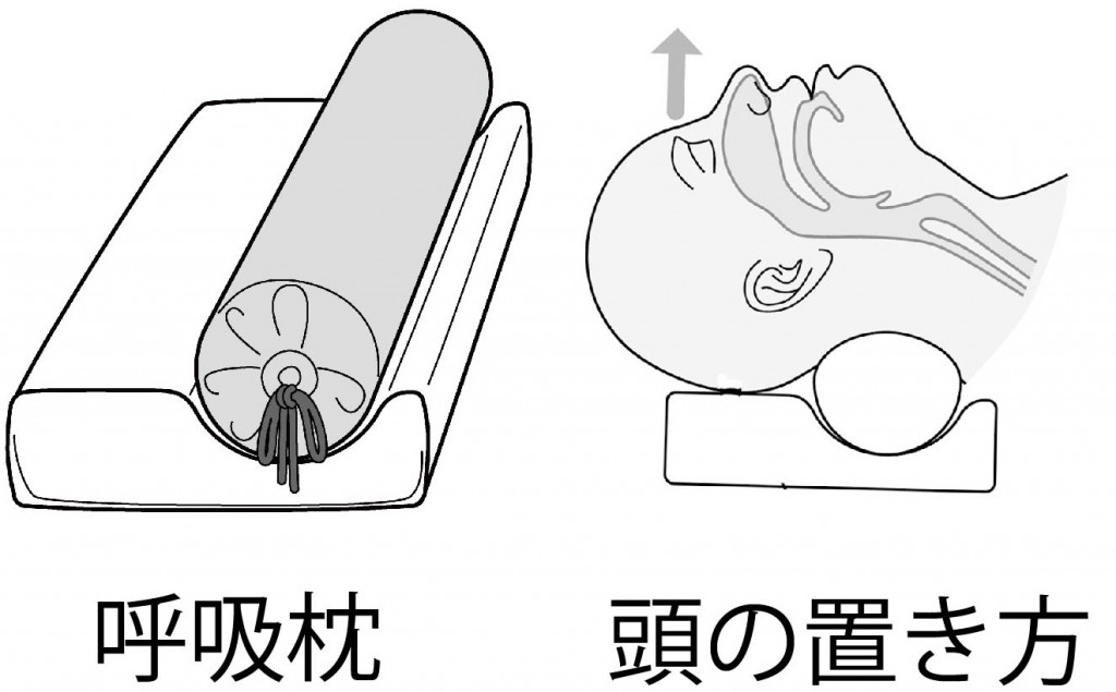 å¼å¸æã®å½¢ç¶ã¨é ­ã®ç½®ãæ¹