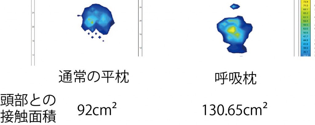 æã®ä½å§æ¯è¼