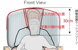 成人ｖｓ児童重ね合わせ 30cmゾーン